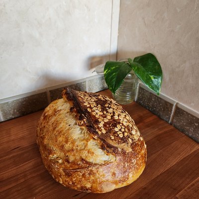 Honey Oat Sourdough 