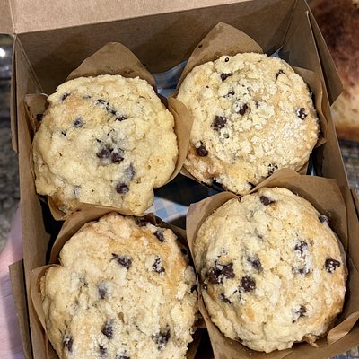 Chocolate Chip Muffins 