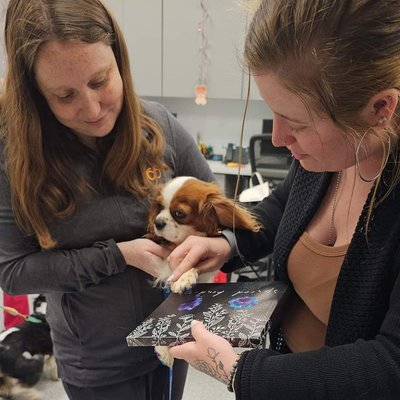 Pawfection Painting/ Canvas (in-Person)