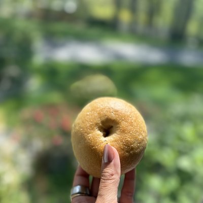 Organic Plain Sourdough Bagels (4)
