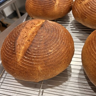 Pumpkin Swirl Sourdough (vegan/ Soy Free)