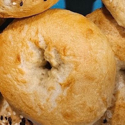 Plain Bagel