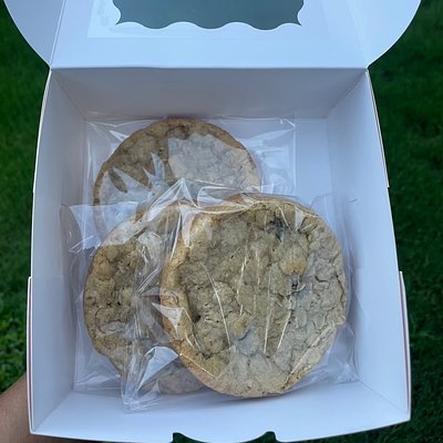 oatmeal raisin (3pack)
