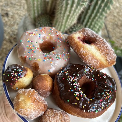 Sourdough Donuts (6)