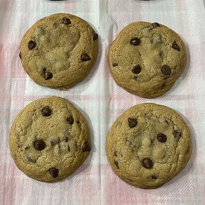 Chocolate Chip Cookie 