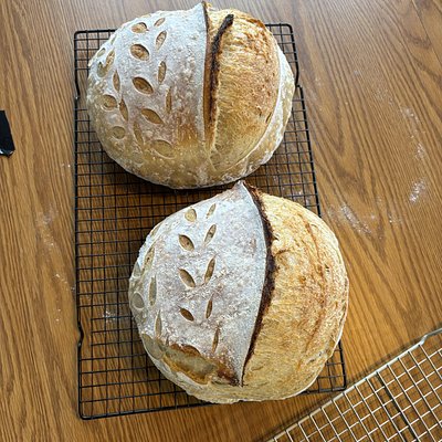 Plain Artisan Bread