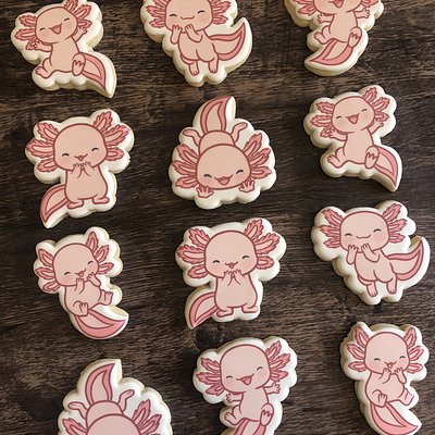 Standard Eddie Printed Cookies 