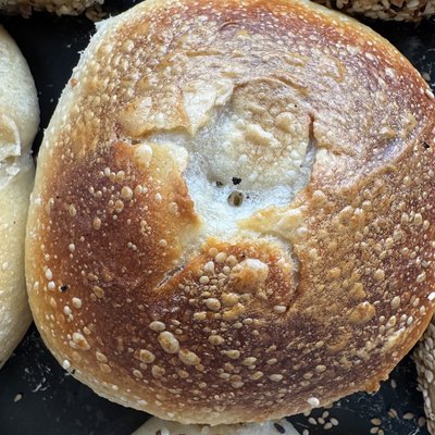  Classic Sourdough Bagel