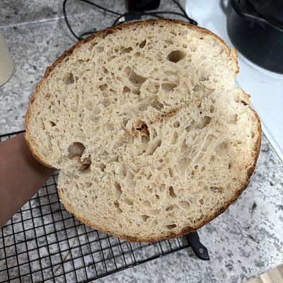 Plain Loaf