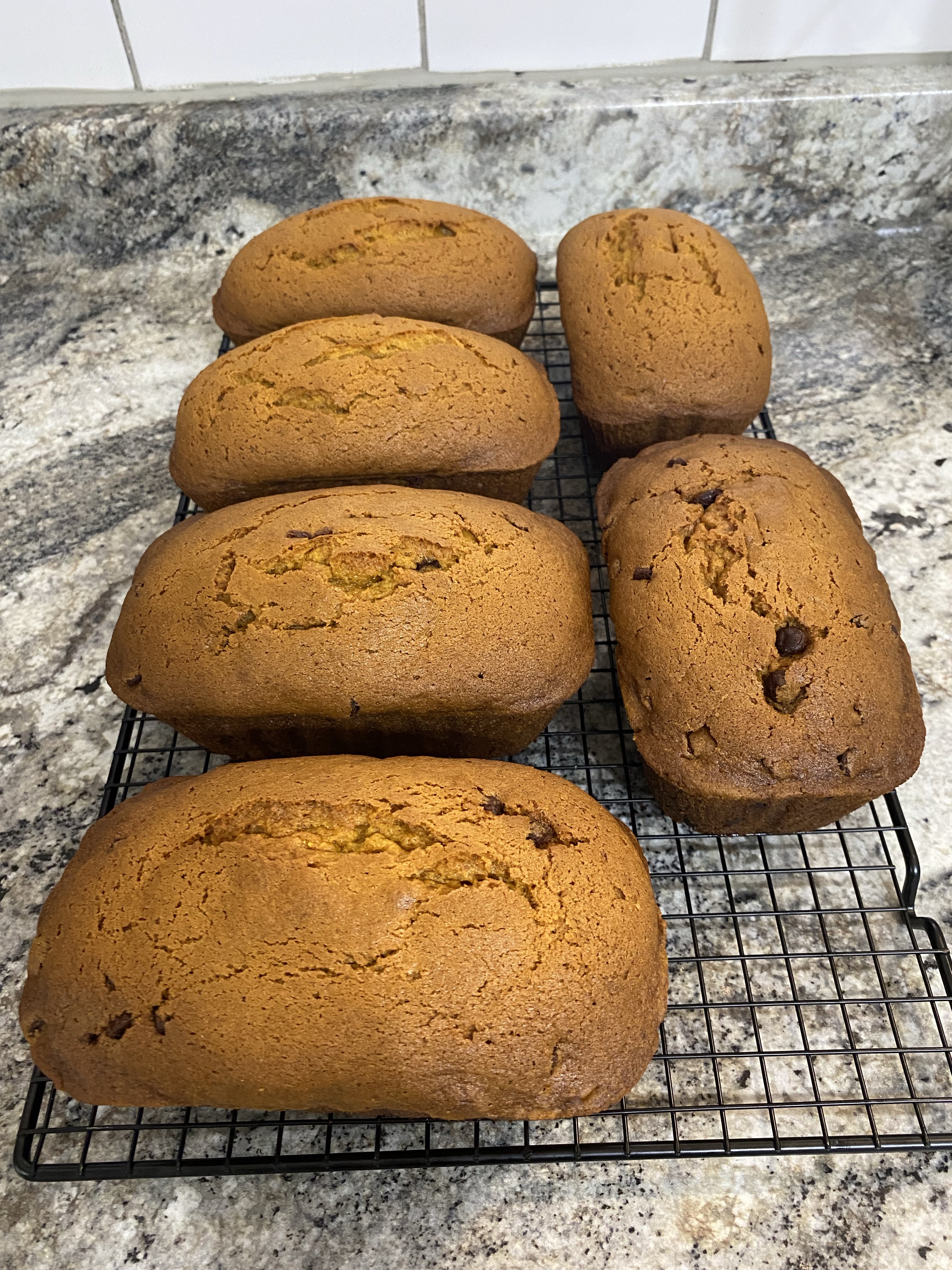 Pumpkin Bread + Walnuts + Chocolate Chips - Small Loaf 
