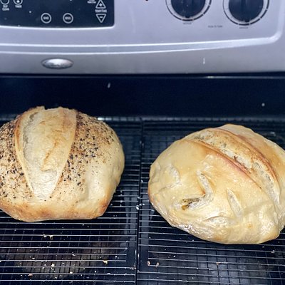 Sourdough Everything Bagel Seasoning 