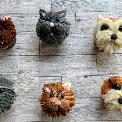 Bloom Buddies  Cats & Dogs 