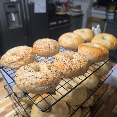Sourdough Bagels-8 Ct