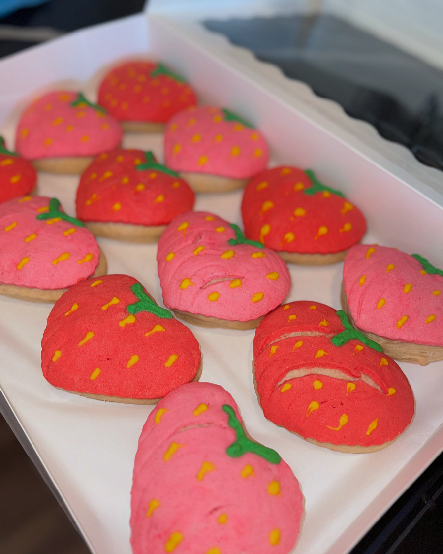 Conchas