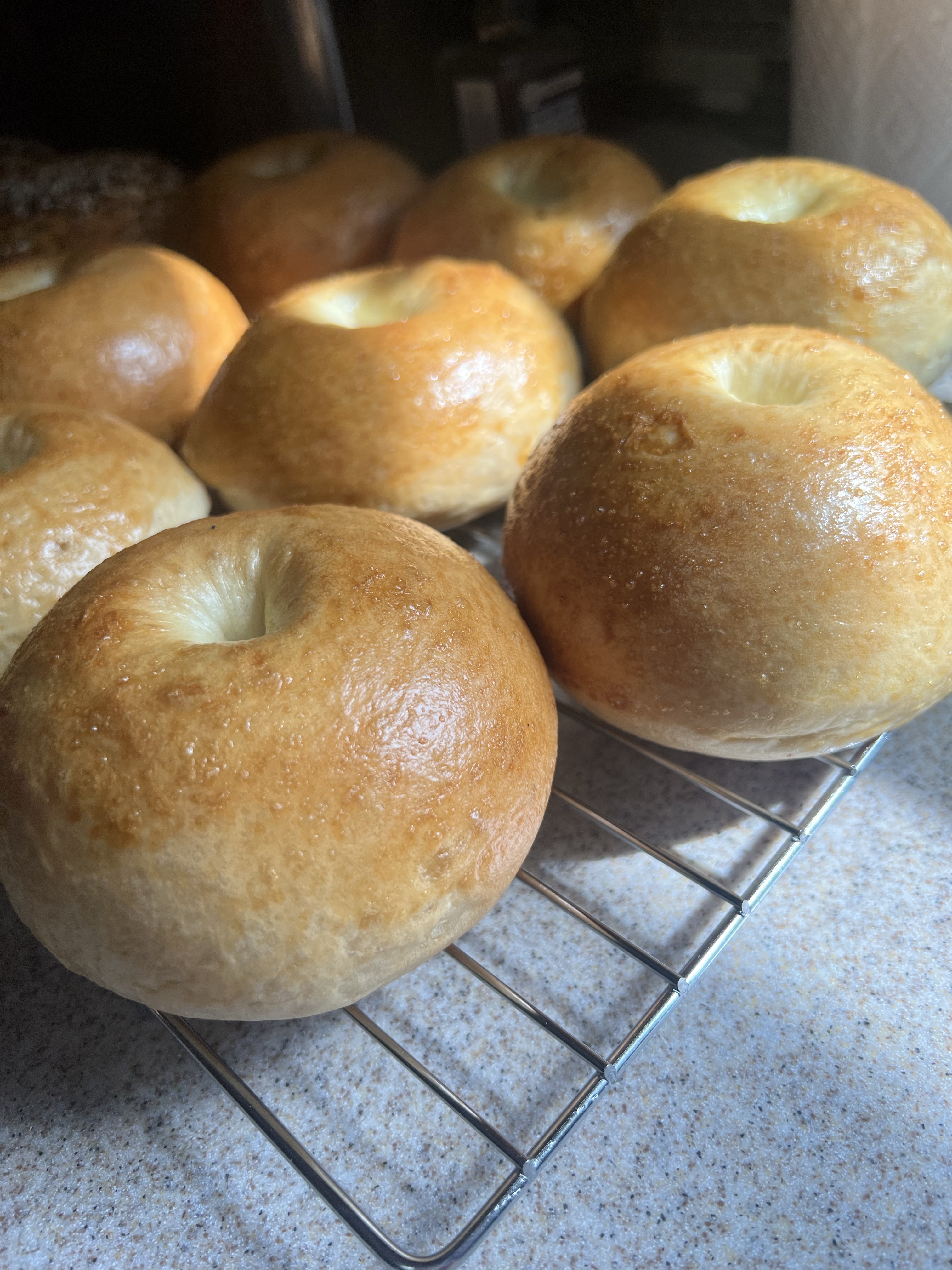Plain Bagels