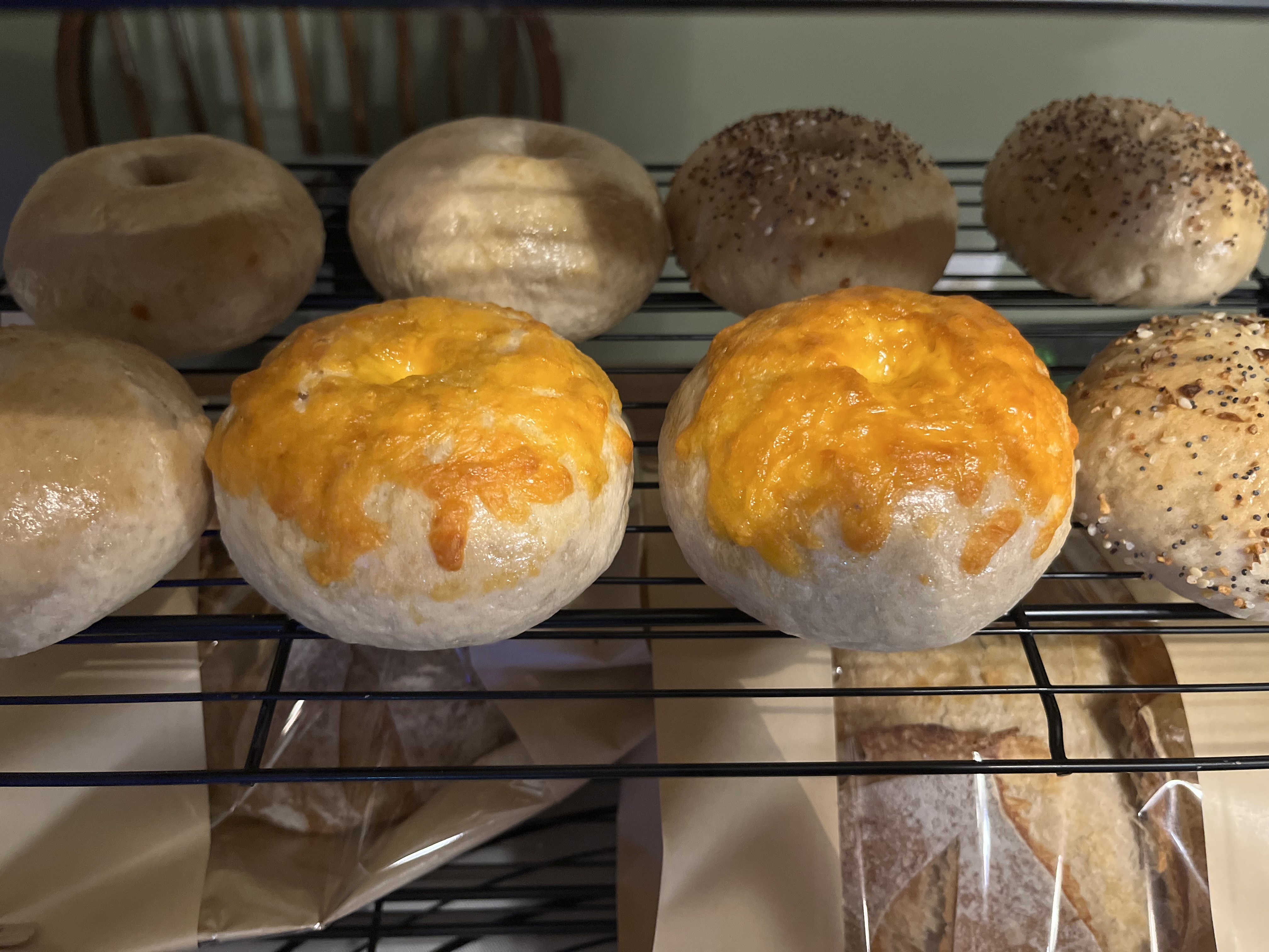 Speciality Sourdough Bagels 