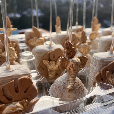 Safari cake Pops & Rice Krispries