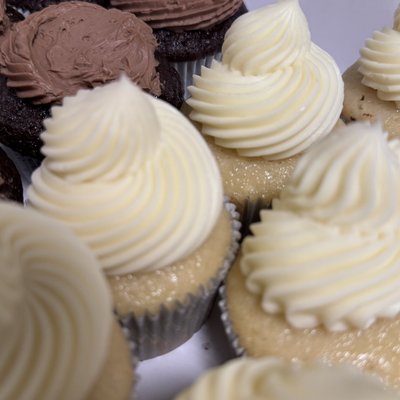 12 Count Regular Cupcakes 