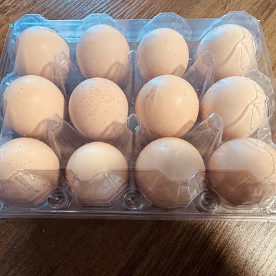 Fresh Eggs