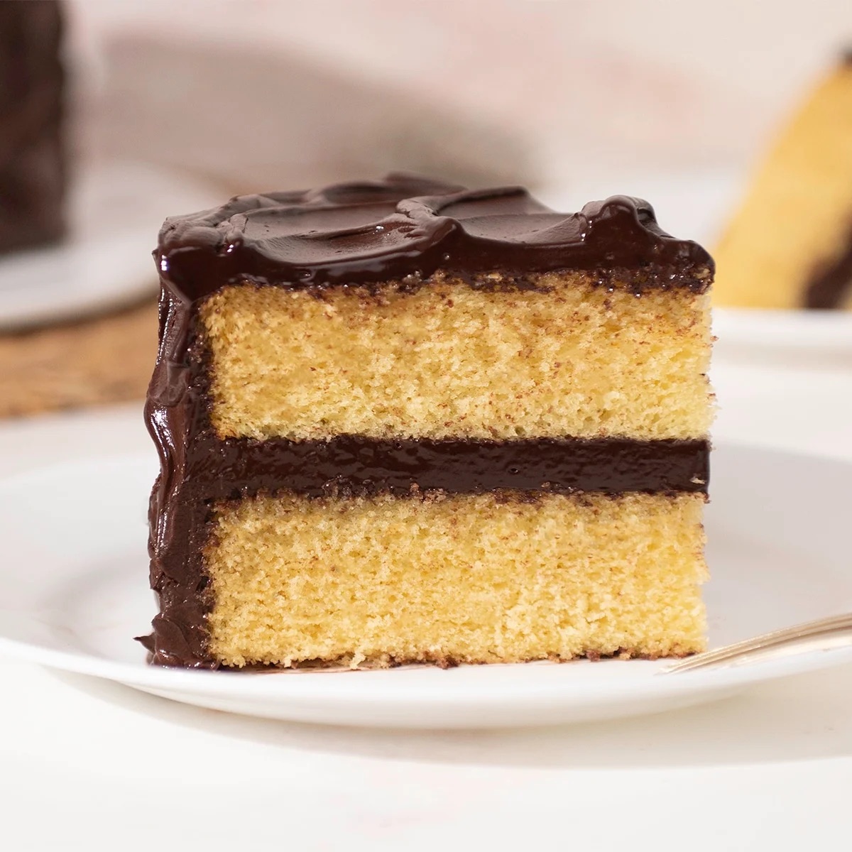 Yellow Cake with Chocolate Fudge Frosting