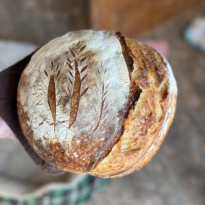 Original Sourdough Boule
