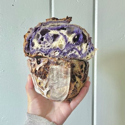 Blueberry Lemon Goat Cheese