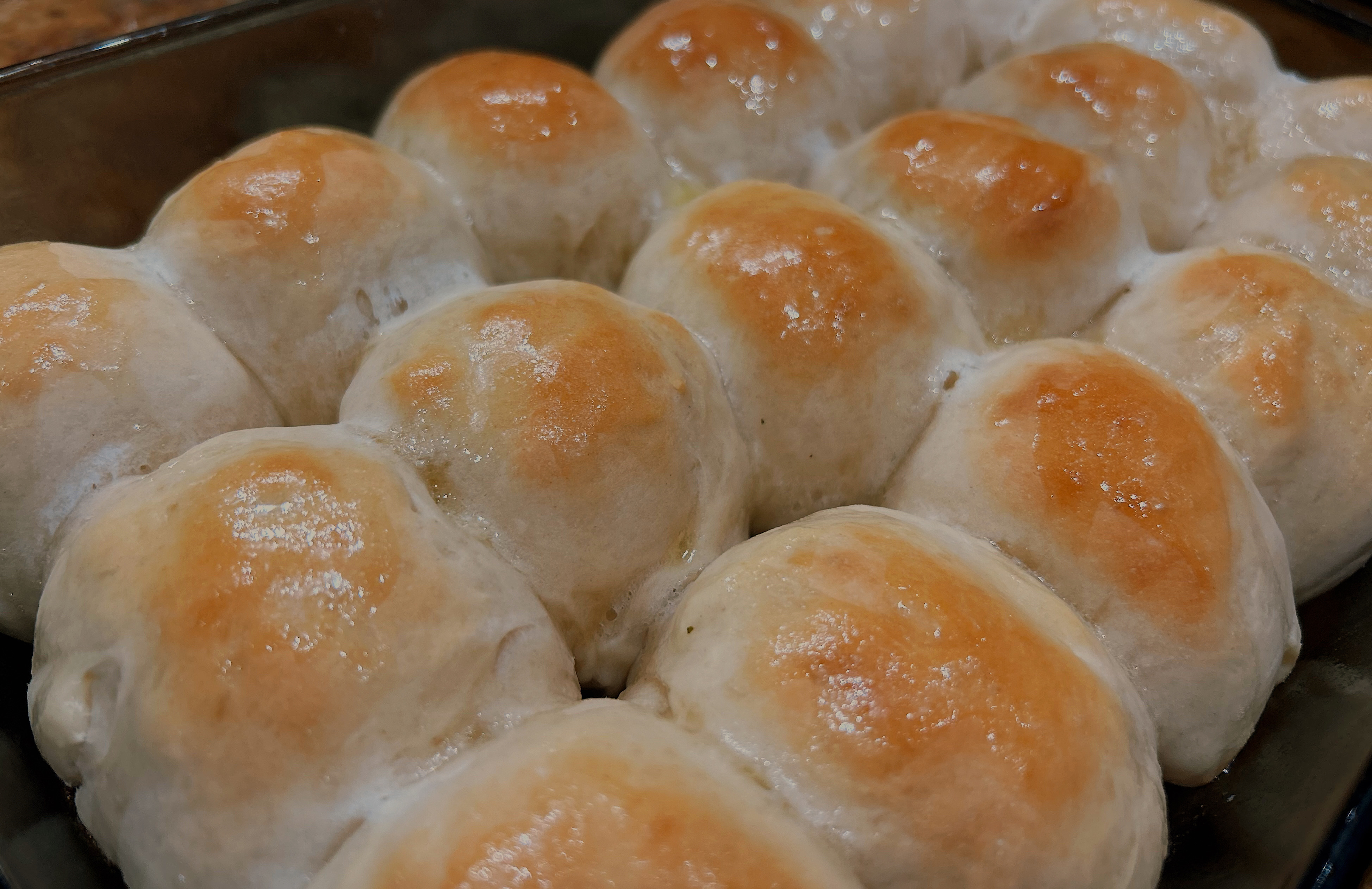 Yeast Dinner Rolls