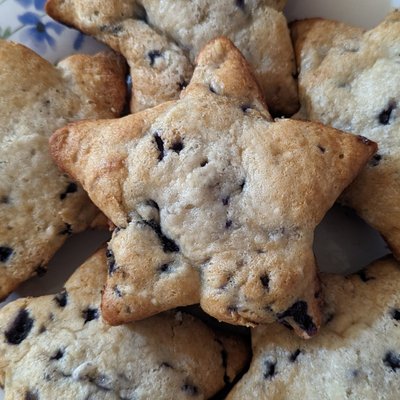 Blueberry Muffins 