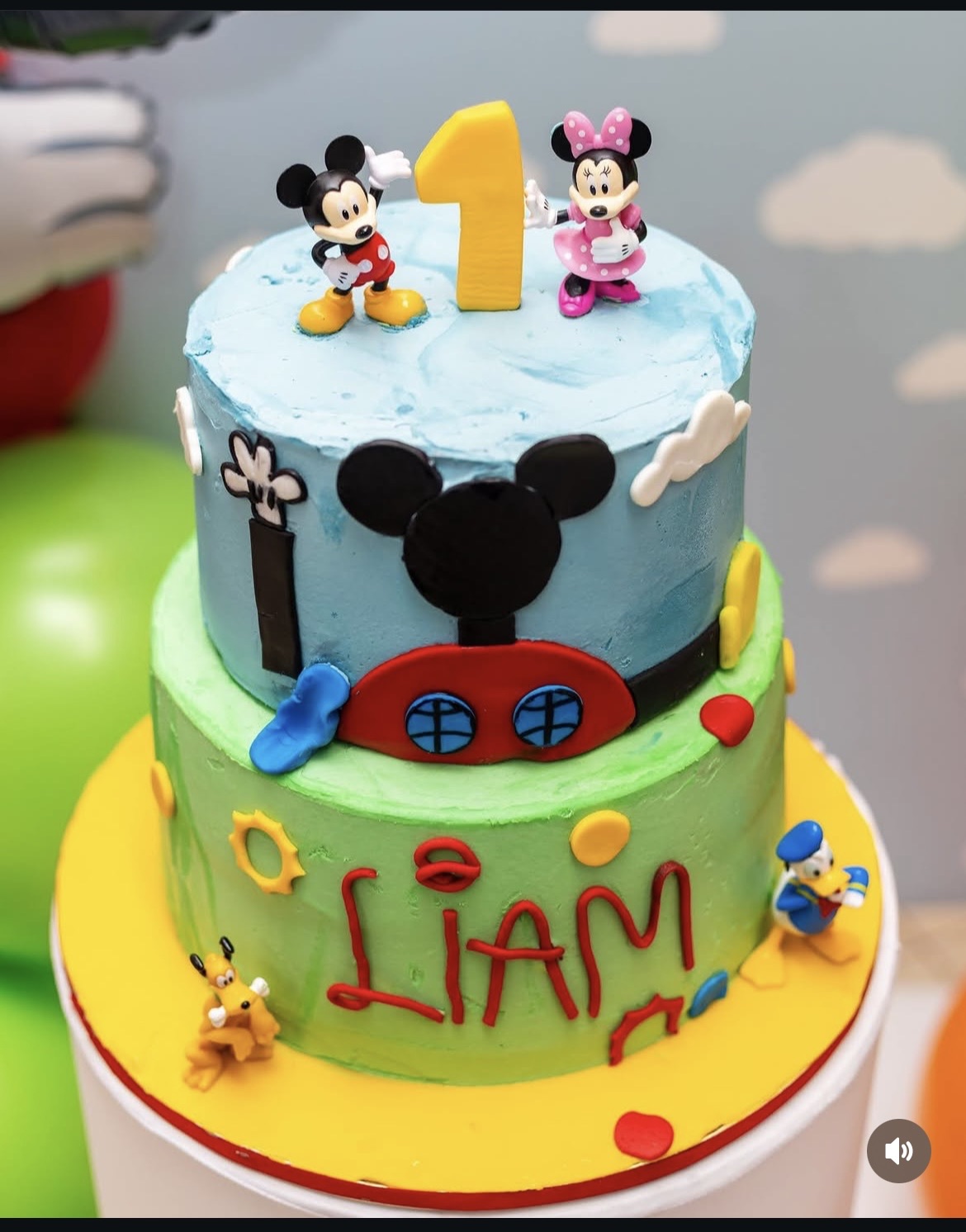 2 tier Custom Cake