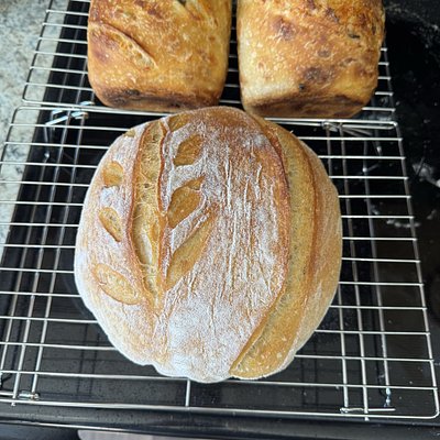 Plain Loaf