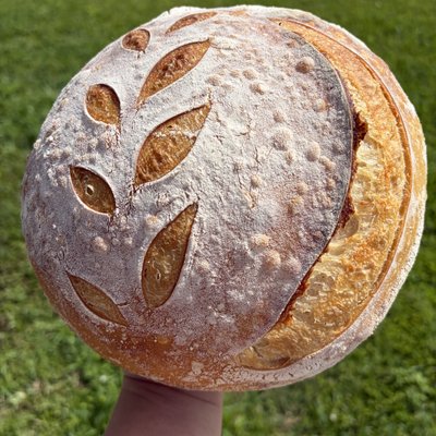Organic Original Sourdough