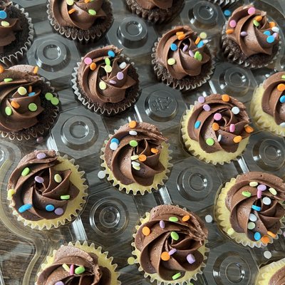 Mini Chocolate Cupcakes