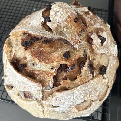 Cinnamon, Brown Sugar, & Raisin