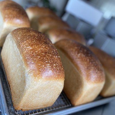 Classic Sandwich Bread
