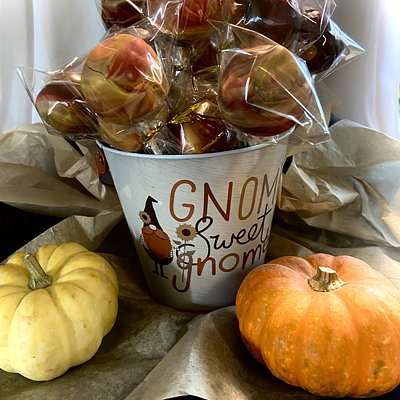 Harvest Day/ Fall Inspired 