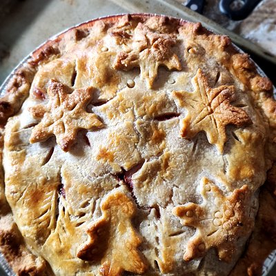 Pies 