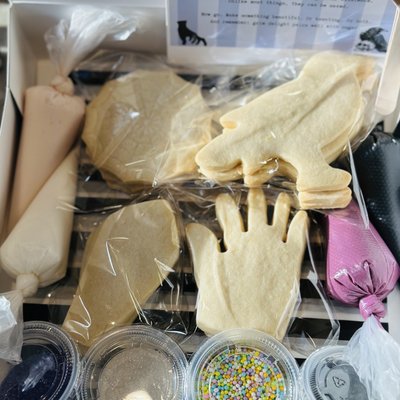 Wednesday Inspired Decorate Your Own Cookie Kit