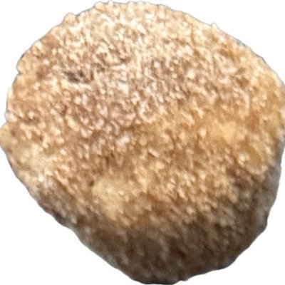 Mini Apple Bombs - 1 Dozen 
