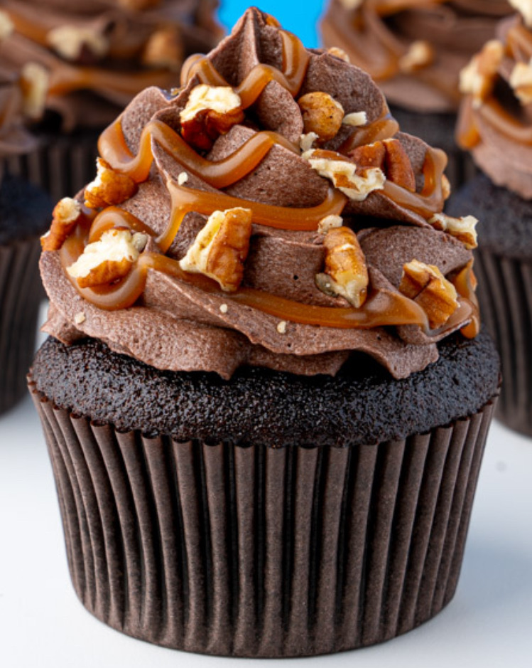 Turtle Cupcake