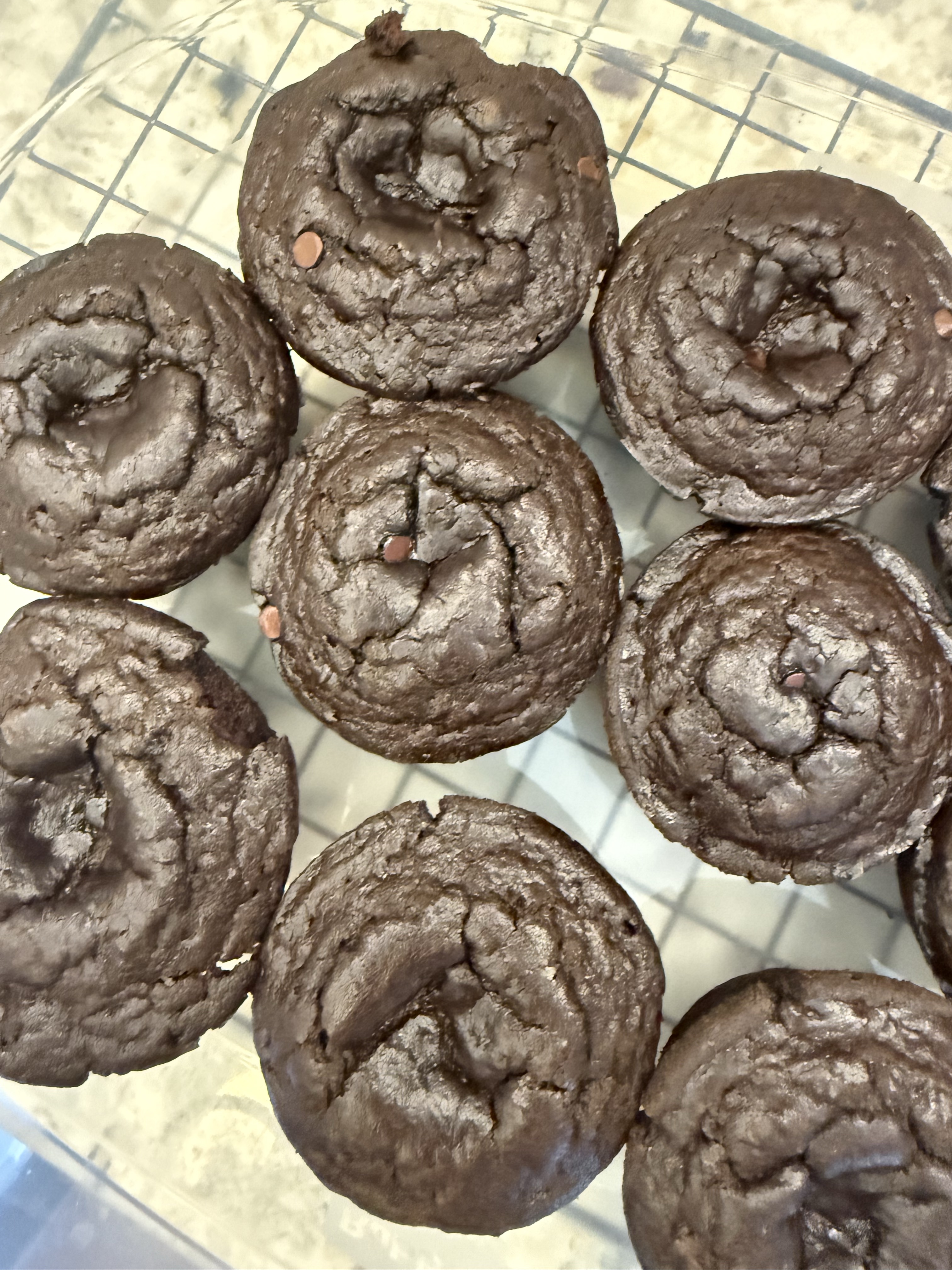 Double Chocolate Muffins