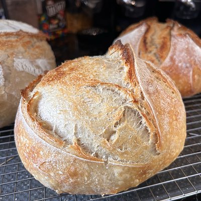 Small- Regular Sourdough 