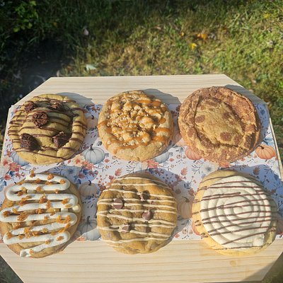Cozy Harvest Cookie Box 6ct