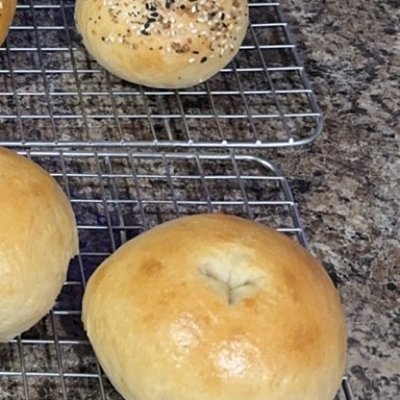 Sourdough Bagels - Plain (6pk)