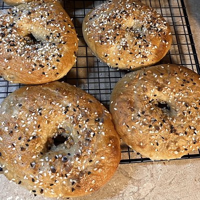 Everything Bagel (6 Pack)