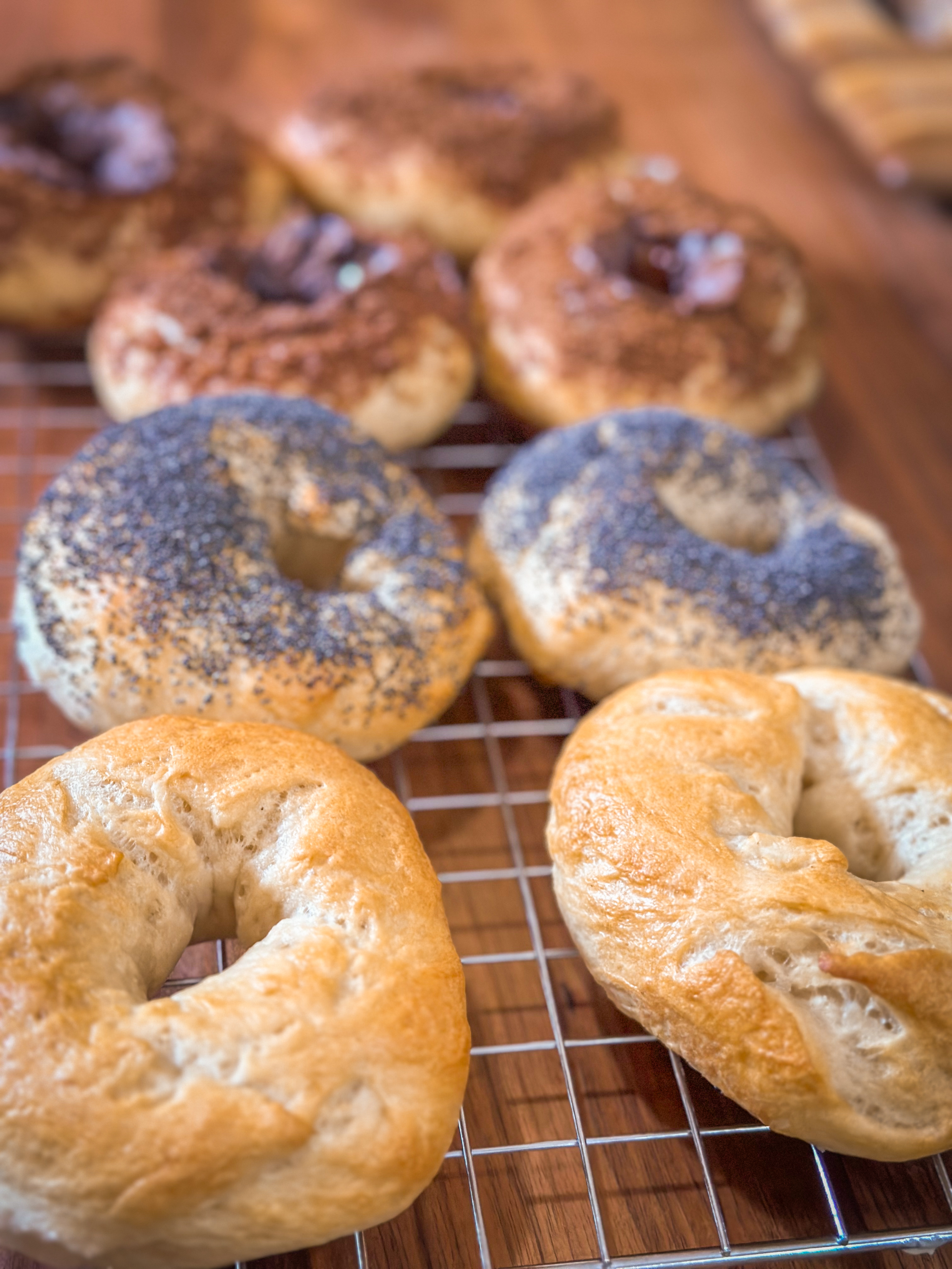 Sourdough Bagels (plain)