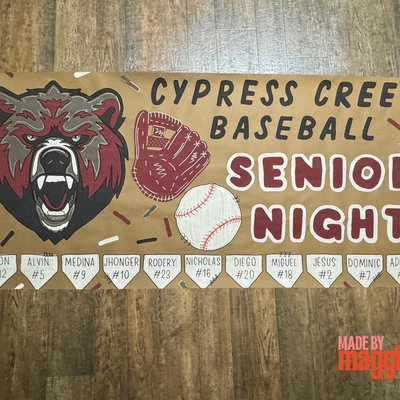 Senior Sports Banner