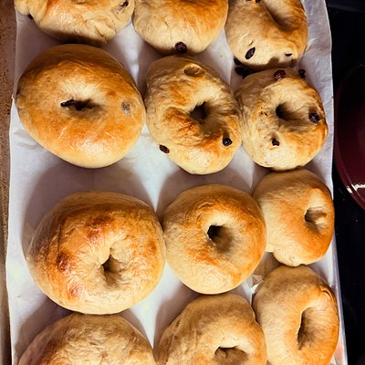 Cinnamon Raisin GF Sourdough Bagels