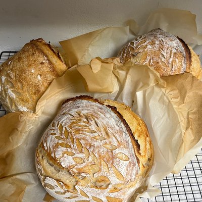 Plain Sourdough Round