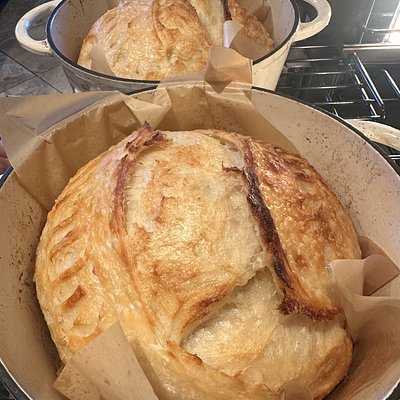 Croissant Sourdough Boule 