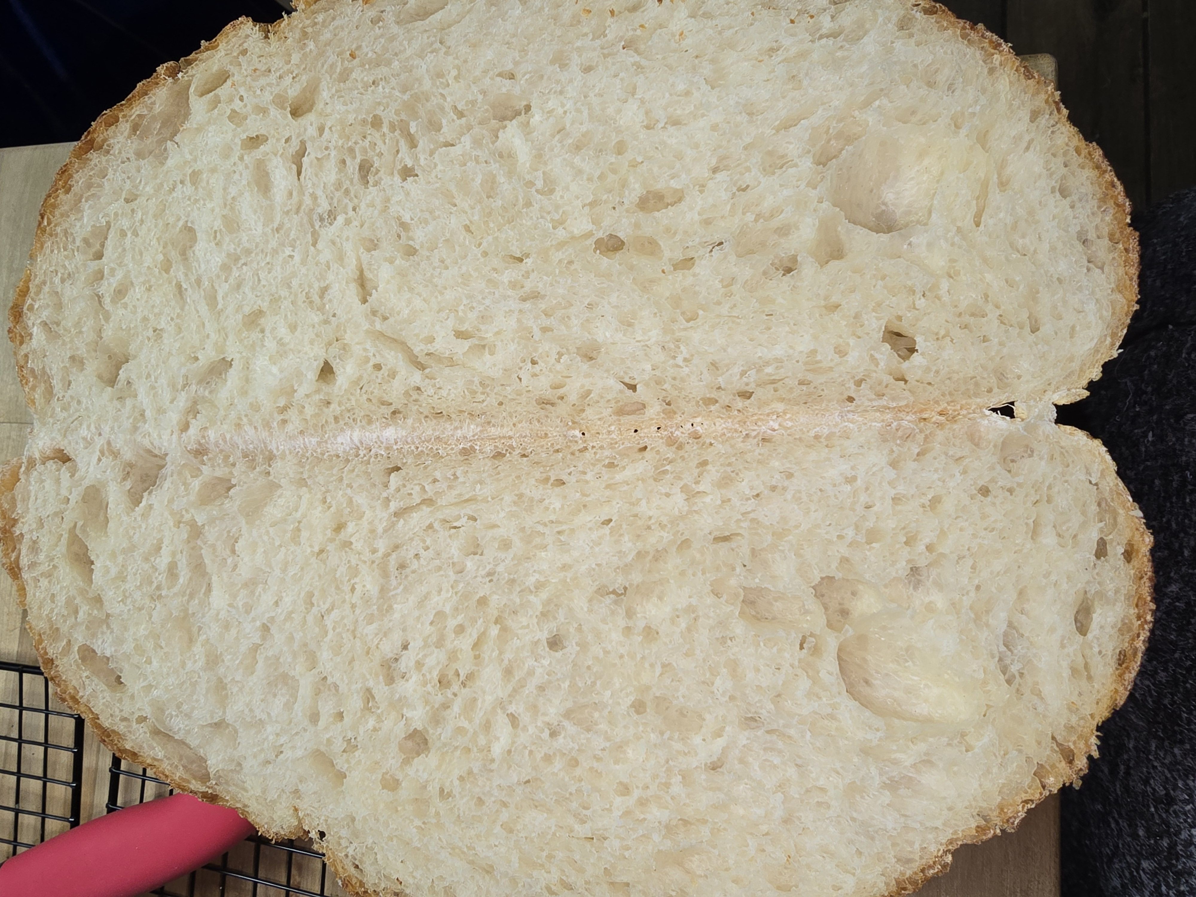 Sourdough Bread 
